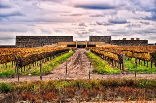 mendoza-bodega-septima-enoturismo