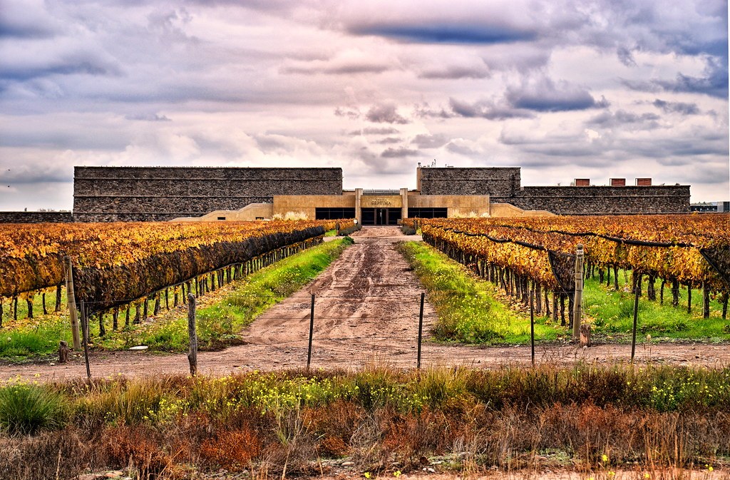 mendoza-bodega-septima-enoturismo